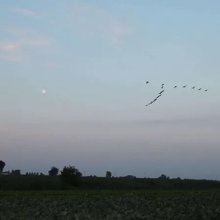 Am Rhin Σπίτι διακοπών *